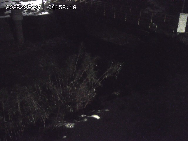 取得できませんでした