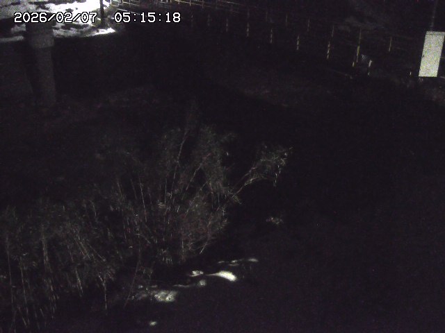 取得できませんでした