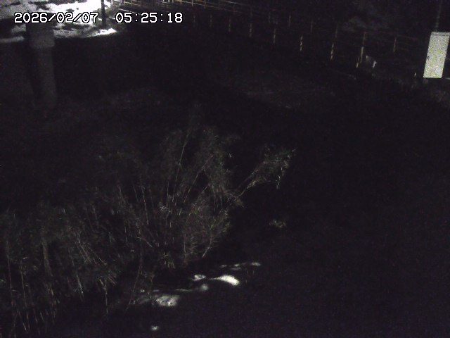 取得できませんでした