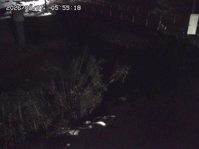 取得できませんでした