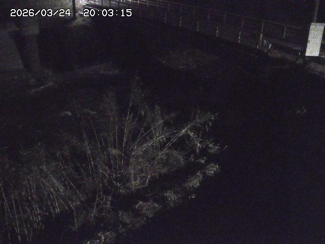 取得できませんでした