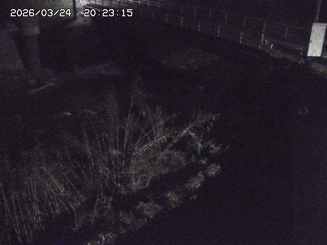 取得できませんでした