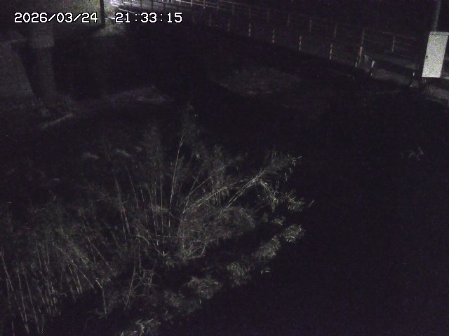 取得できませんでした