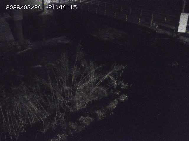 取得できませんでした