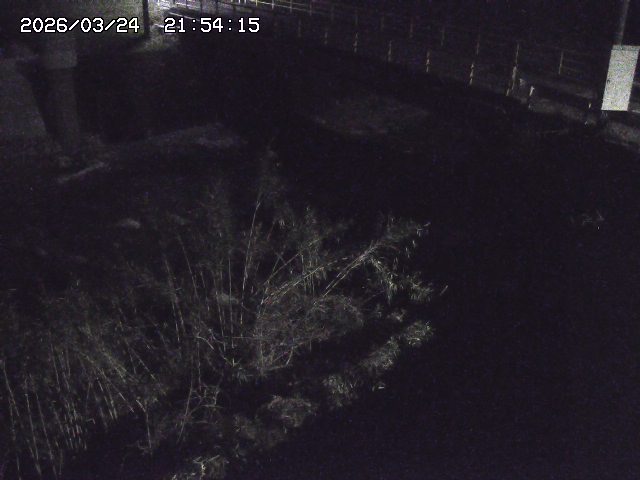 取得できませんでした