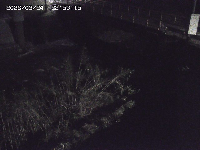 取得できませんでした