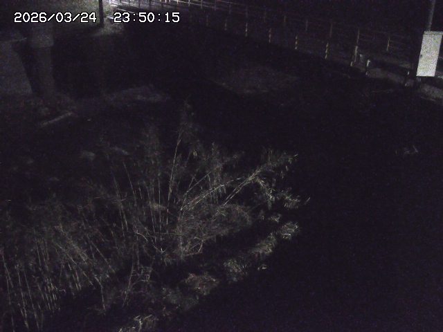 取得できませんでした