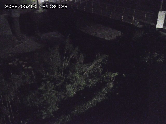 取得できませんでした