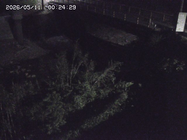 取得できませんでした