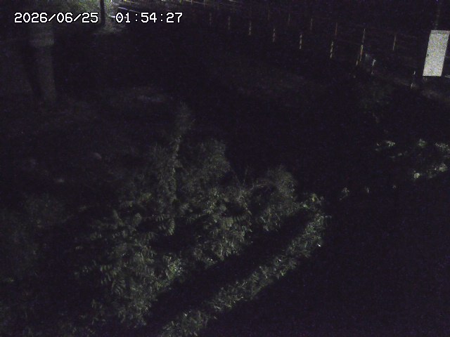 取得できませんでした