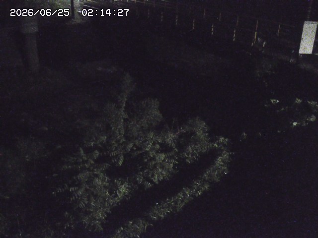 取得できませんでした