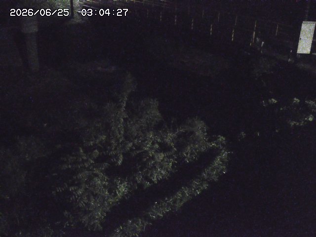 取得できませんでした