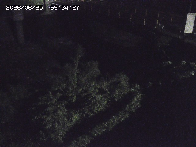 取得できませんでした