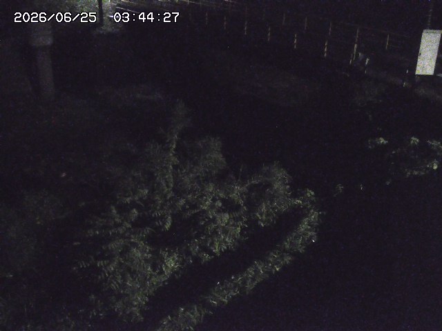 取得できませんでした