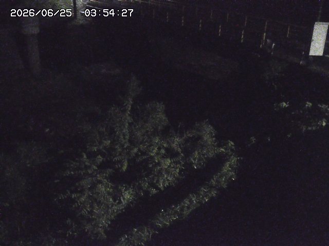 取得できませんでした
