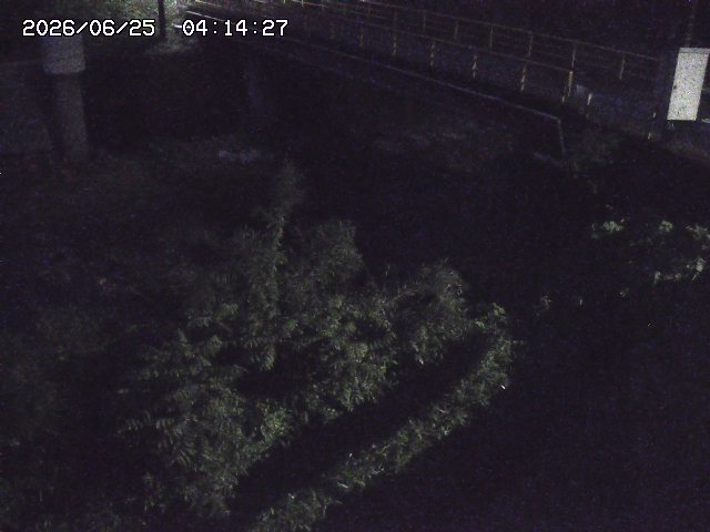 取得できませんでした