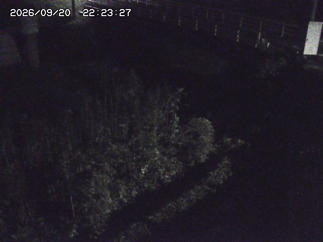 取得できませんでした