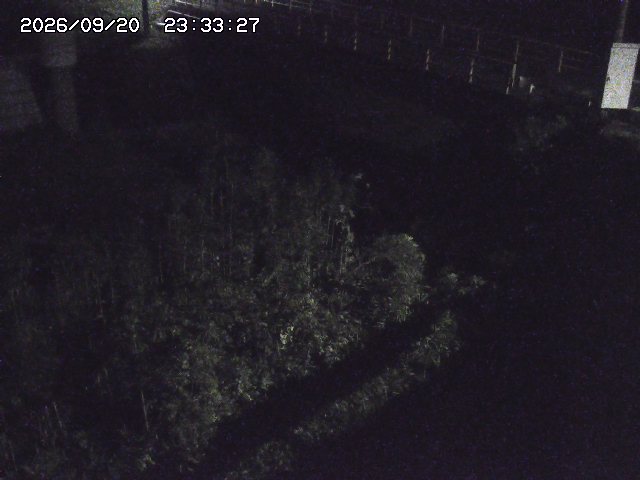 取得できませんでした