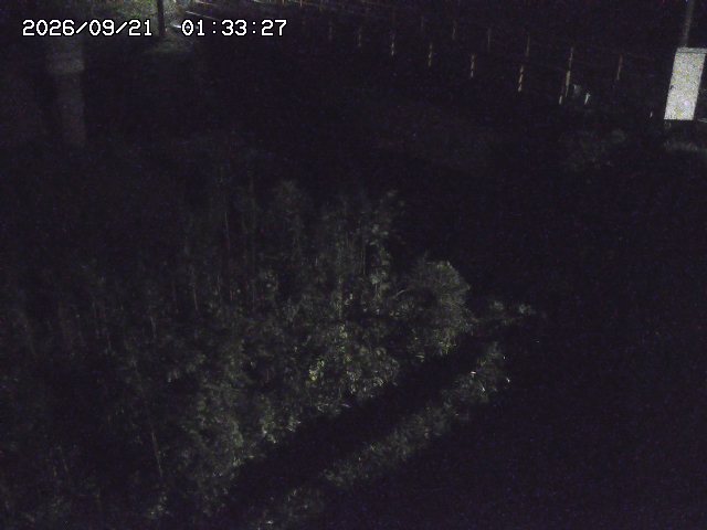 取得できませんでした