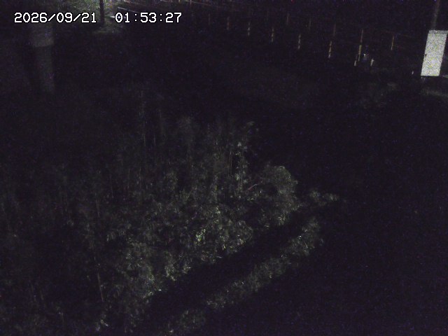 取得できませんでした