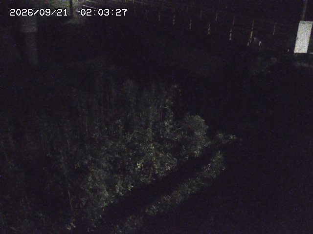 取得できませんでした
