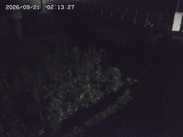 取得できませんでした