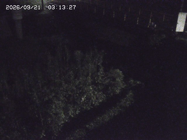 取得できませんでした