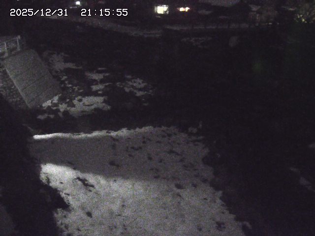 取得できませんでした