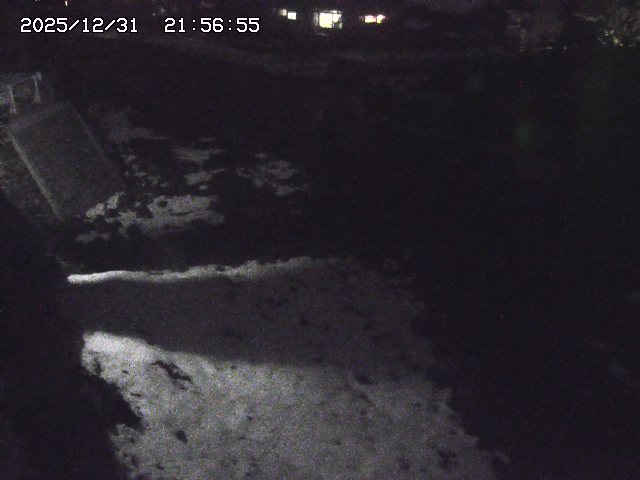 取得できませんでした