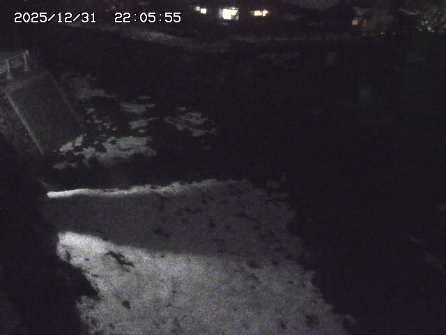 取得できませんでした