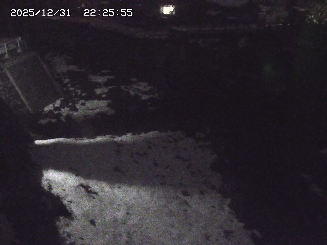 取得できませんでした