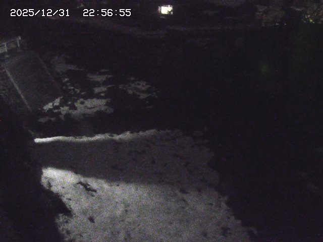 取得できませんでした