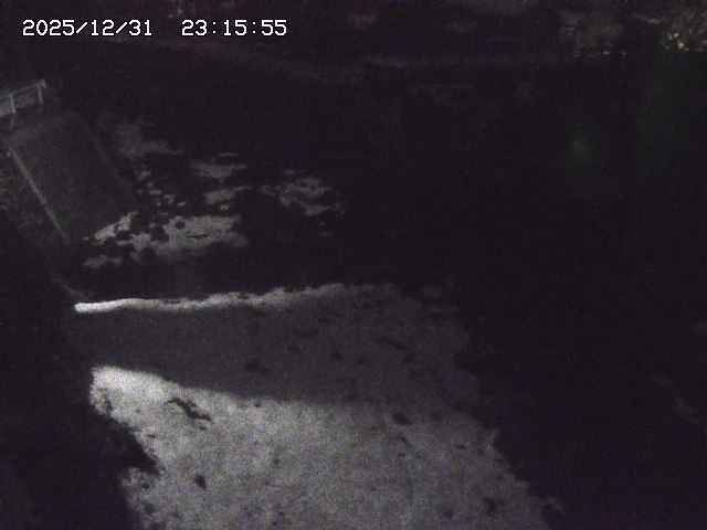 取得できませんでした