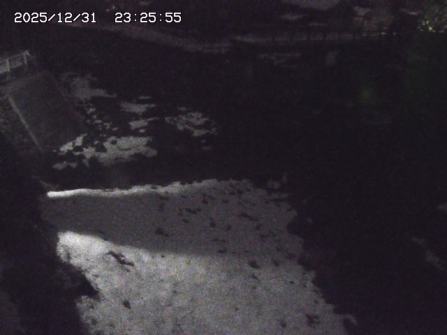 取得できませんでした