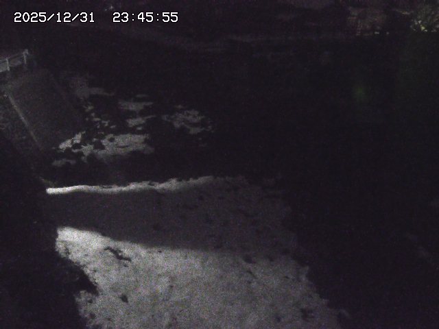 取得できませんでした