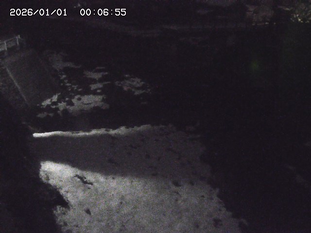 取得できませんでした