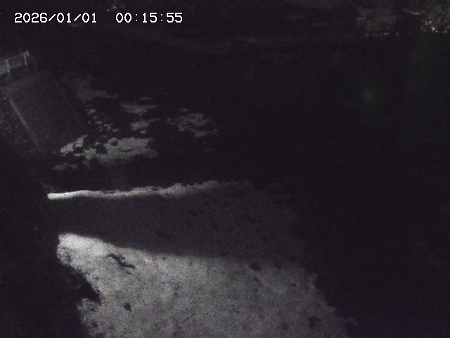 取得できませんでした