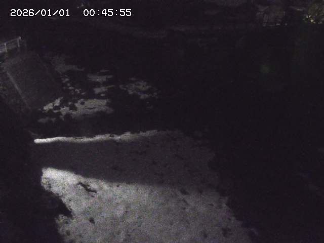 取得できませんでした