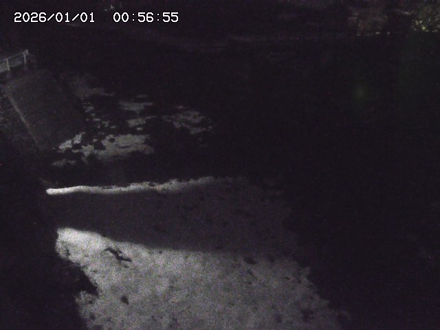 取得できませんでした