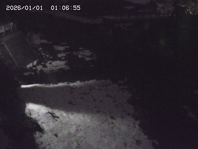 取得できませんでした