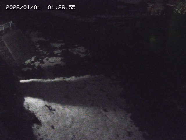 取得できませんでした