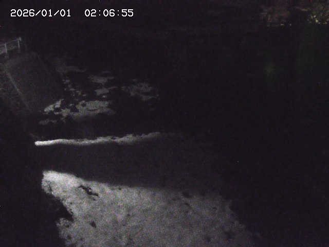 取得できませんでした