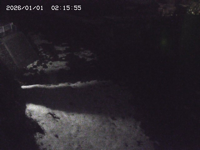 取得できませんでした