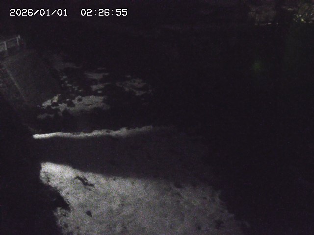 取得できませんでした