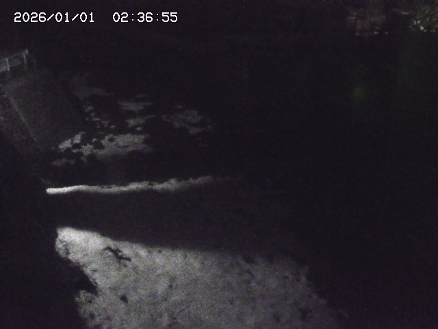 取得できませんでした