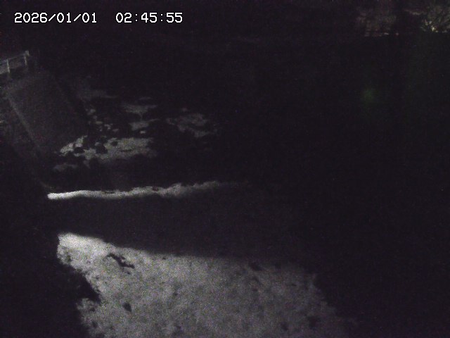 取得できませんでした