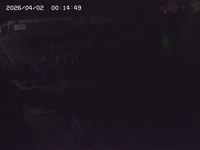 取得できませんでした