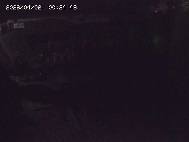 取得できませんでした