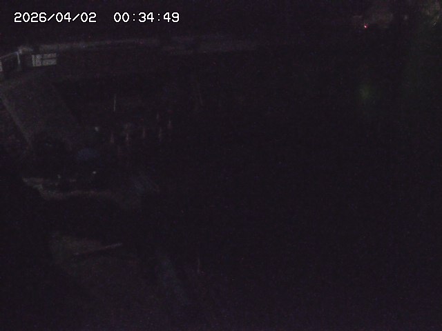 取得できませんでした