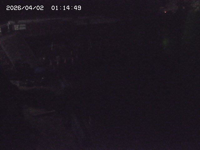 取得できませんでした